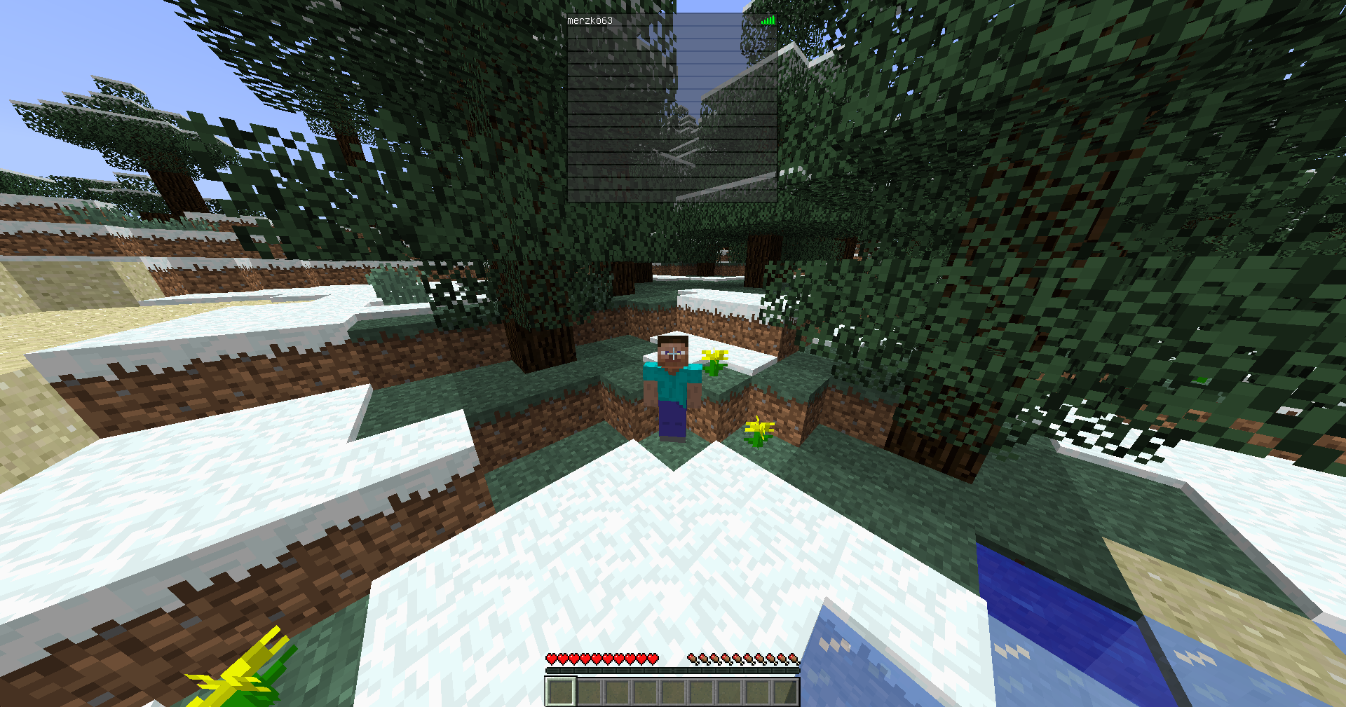 Gallery Preview 1